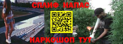 ALPHA PVP Новозыбков