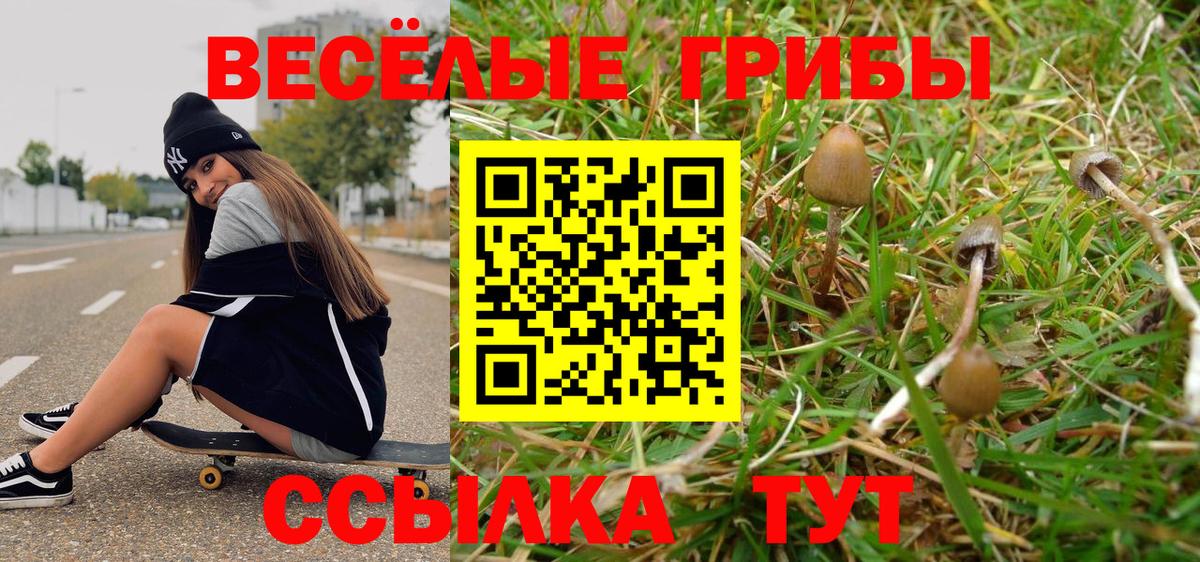 Псилоцибиновые грибы мицелий  Вход с VPN  Туапсе 